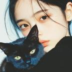 冷猫头像