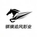 骐骥追风影业头像