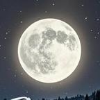 月圆夜头像