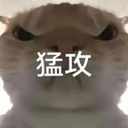 扣扣爱头像