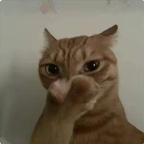 短剧自觉更完谢谢头像