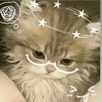 南嫣染头像