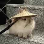 淮安头像
