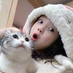 番薯丸🦁🐱头像
