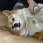 财财头像