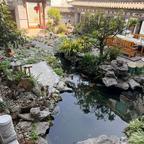 小🐟困困头像