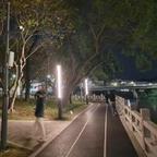不爱无脑的短剧头像