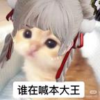 性感公蟑螂喵喵喵头像