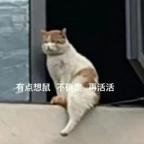 祈安  头像