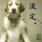 用户名57692045头像