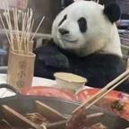 ╲↘☞村尾的男神༆🪳头像