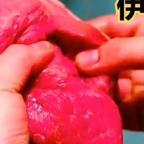 流年似水头像