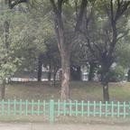 找点时间头像