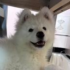 小明同学头像