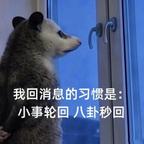 Ashin头像