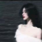 用户名231589头像