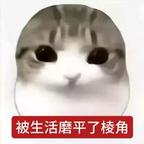 。头像