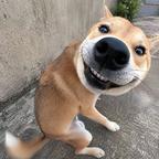 山风ㅤㅤ头像