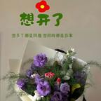 我要发财好运来头像