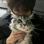 龙猫头像