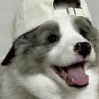 知怀思头像