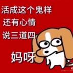 追妻火葬场的进土里头像