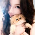 心静心🐾头像