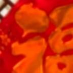 9527洪头像