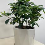 用户名53366540头像