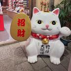 又来追剧啦头像