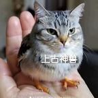 打工加油头像