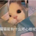 z头像