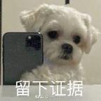 绝色佳人莫莉阳头像