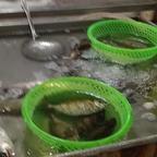 鱼🐟头像