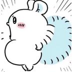 版荔梓头像