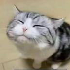 笑了头像