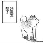 燃青_头像