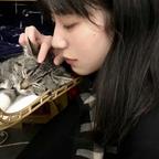 流泪猫猫头头像