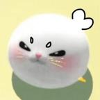 苹什猫头像