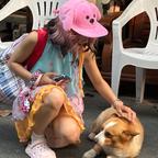 李李大女主.头像