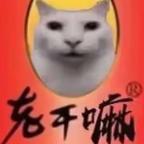 用户11593328头像