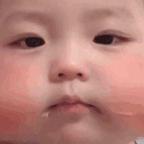 爱紫地球的阿饭头像