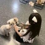 毛毛头像