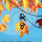 ☛秋分☚头像