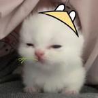 @头像