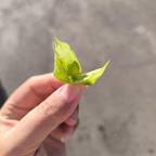 华庭酒店的区寄头像