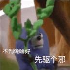 撒一把糯米头像