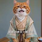 找个叫方长的女人头像
