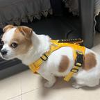 误解爱情的留夏头像