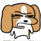 平等关爱弱势群体头像